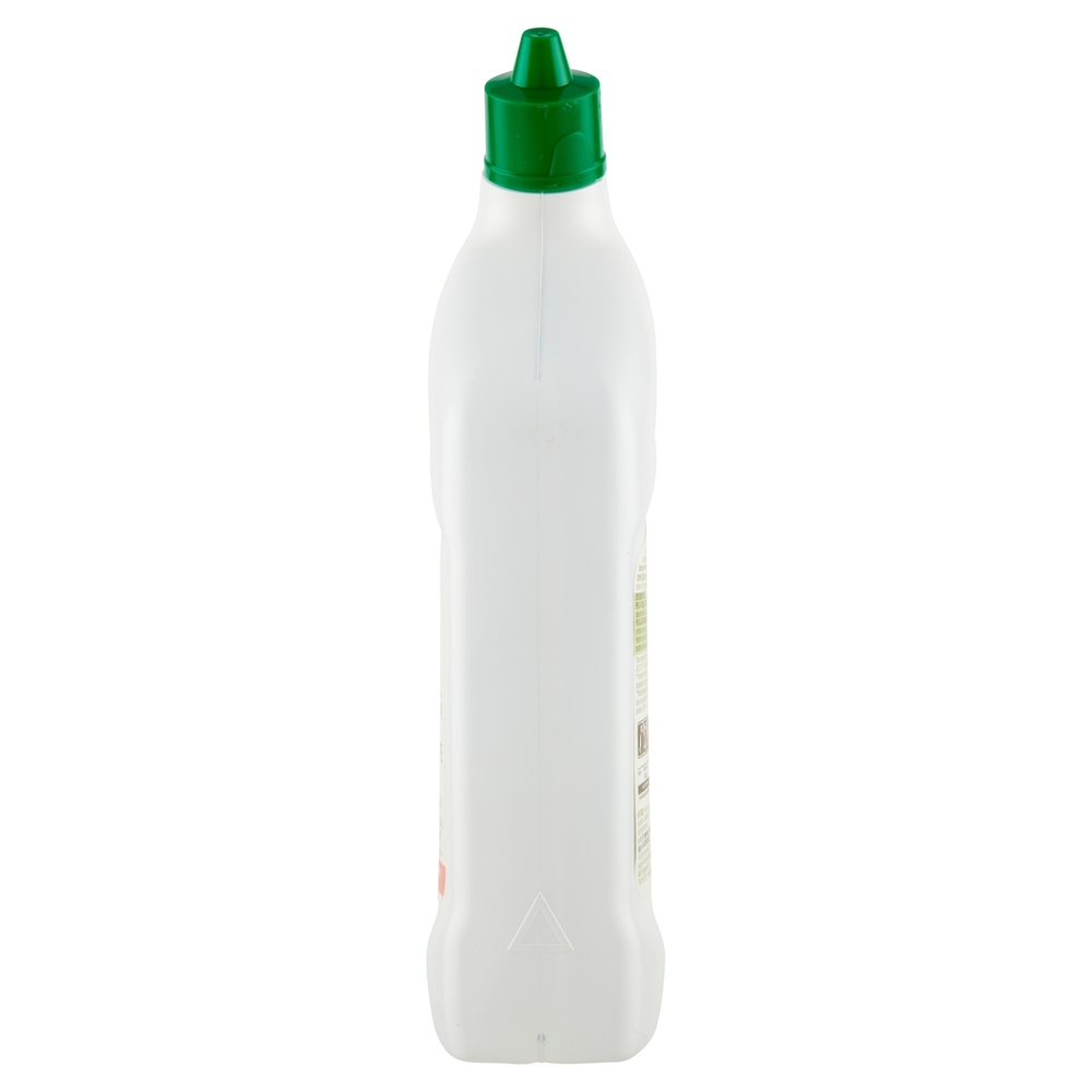 Detergente Disincrostante WC Gel Green Oasis